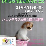 【さいたま市】4/16（日）ハレノテラス保護猫譲渡会