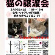 ツムグ小さな譲渡会