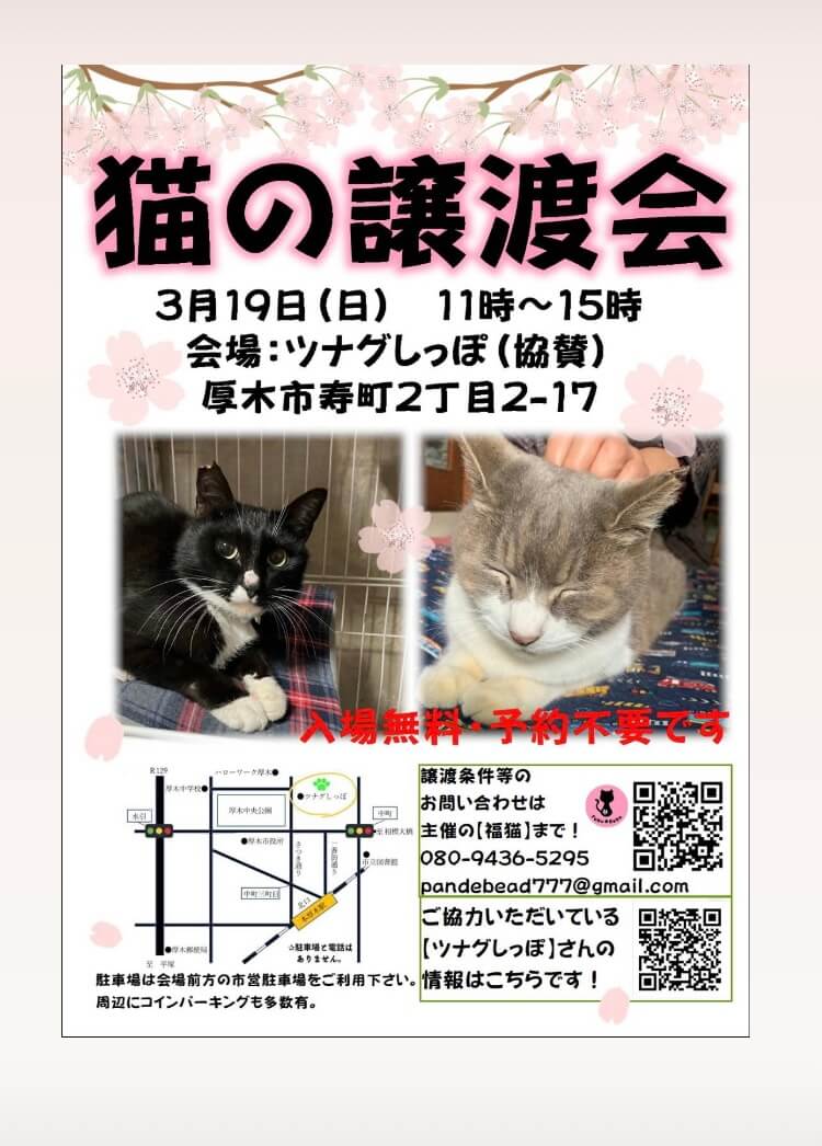 ツムグ小さな譲渡会