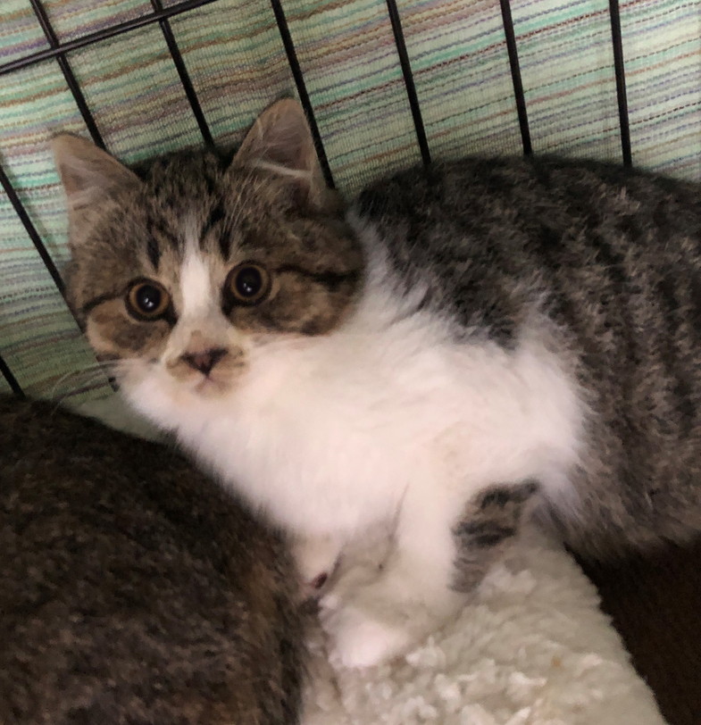 ママと一緒に幸せになりました♡