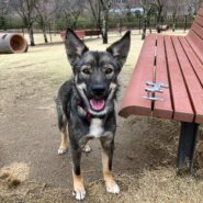 大人っぽい女の子