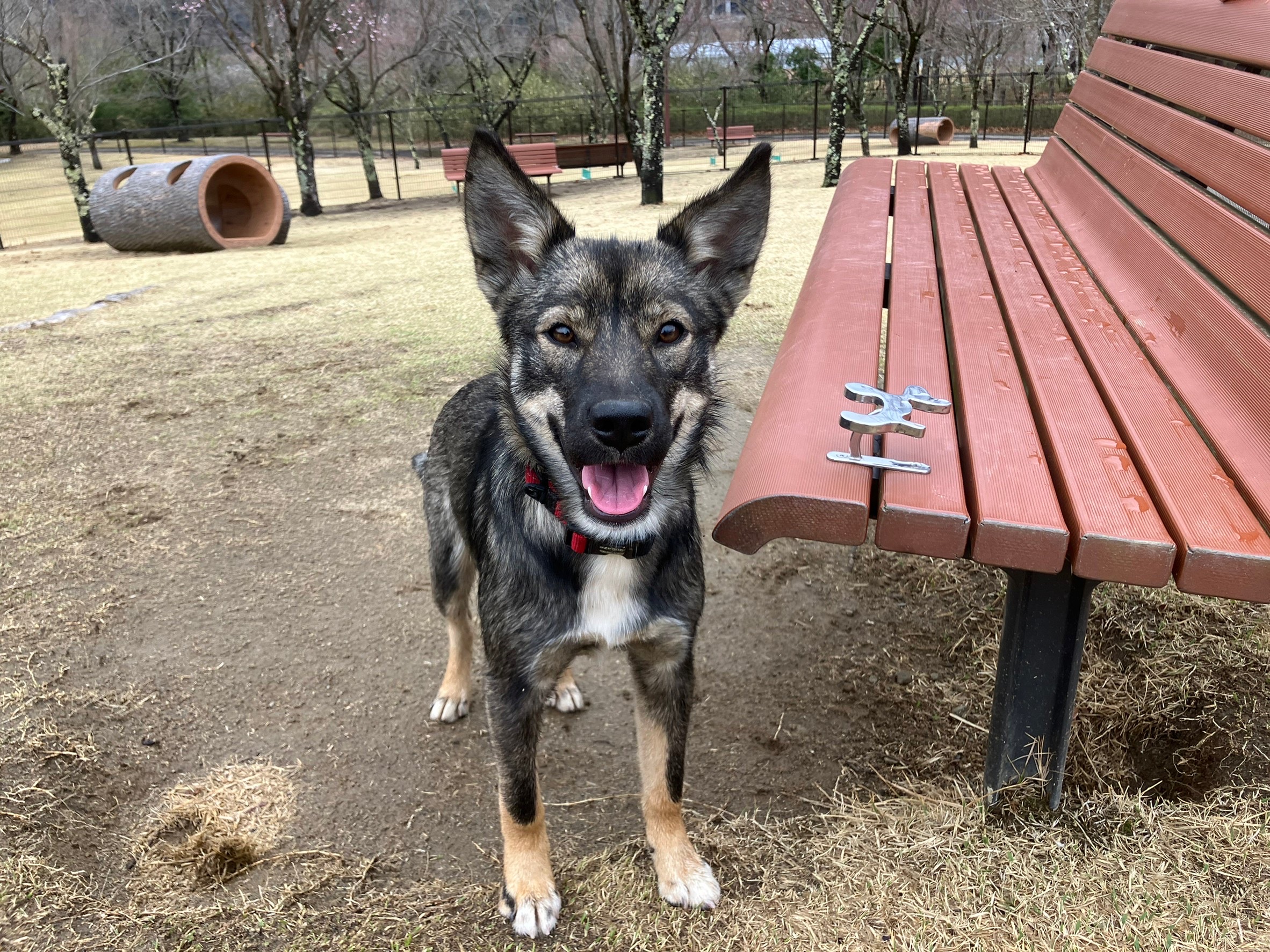 大人っぽい女の子