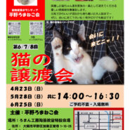 第6回平野ろまねこ譲渡会
