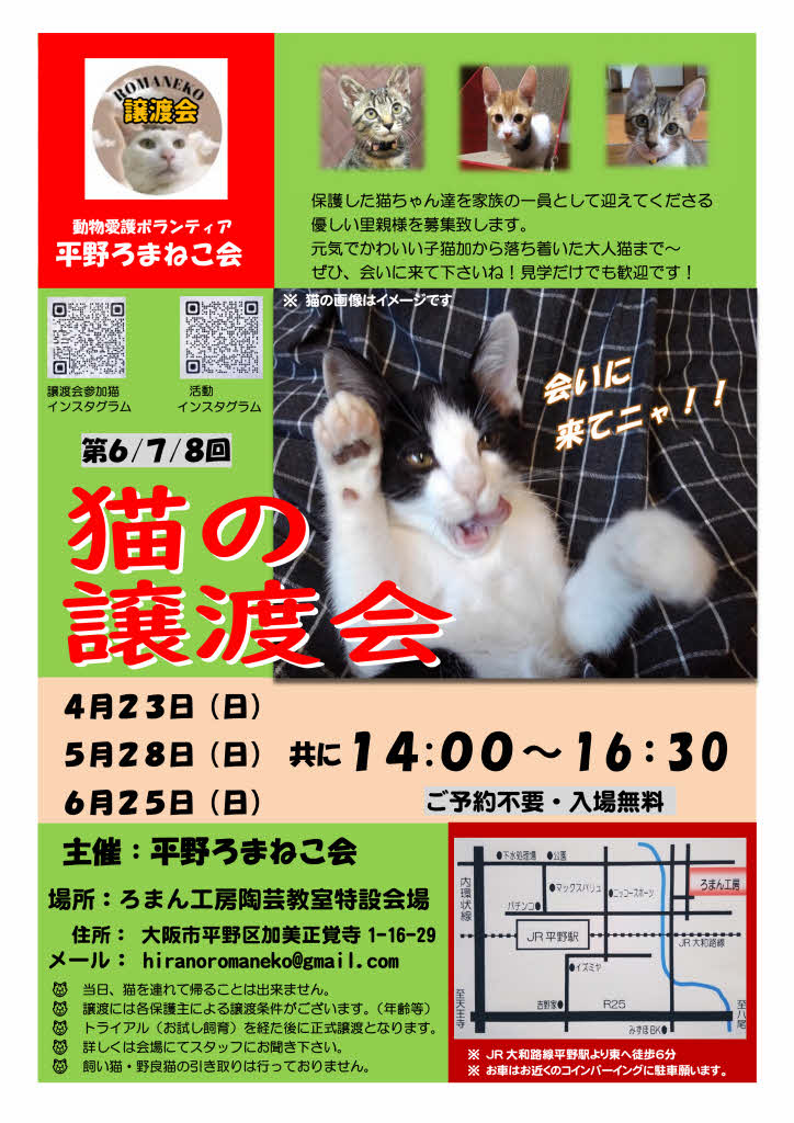 第7回平野ろまねこ譲渡会
