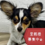 ★生後4ヶ月の好奇心旺盛な女の子★