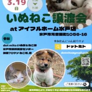 いぬねこ譲渡会 at アイフルホーム水戸店