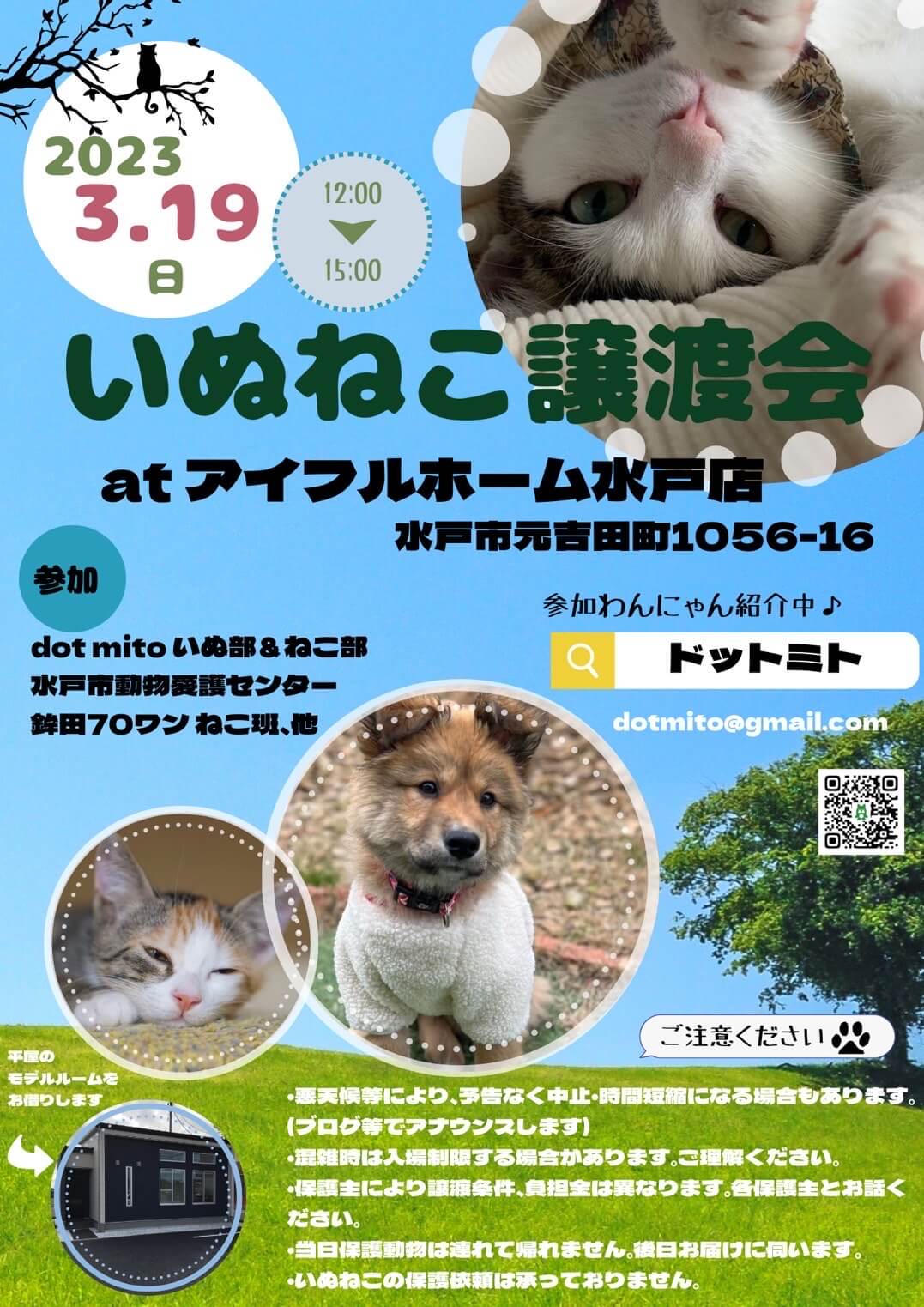 いぬねこ譲渡会 at アイフルホーム水戸店