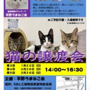 第５回平野ろまねこ譲渡会