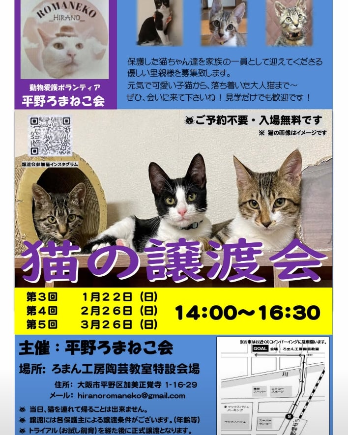 第５回平野ろまねこ譲渡会