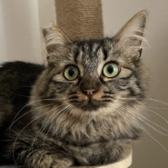 もふもふな女の子モチャ❤️