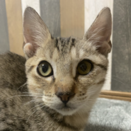 元気いっぱいヤンチャなしゅんくん❤️