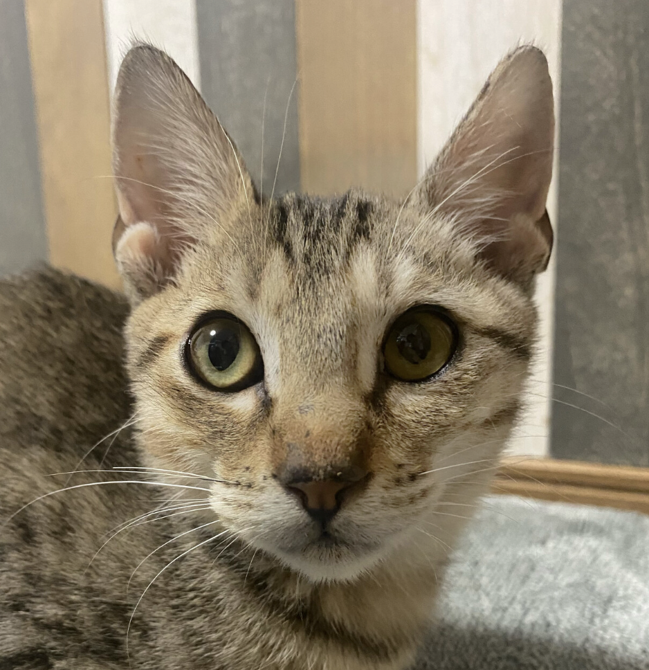 元気いっぱいヤンチャなしゅんくん❤️