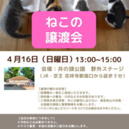 むさしの地域猫の会　譲渡会