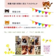 犬猫譲渡会