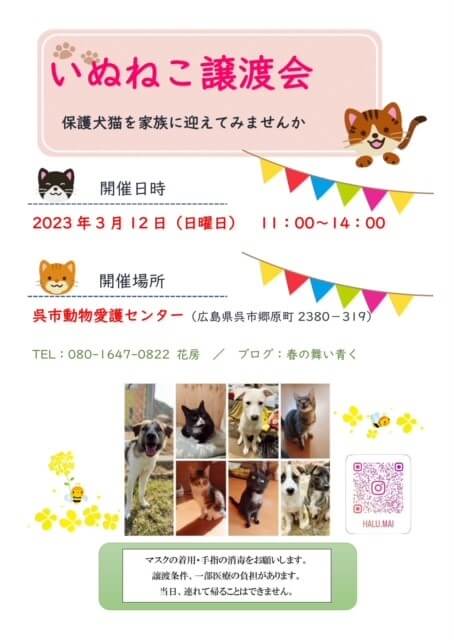 犬猫譲渡会