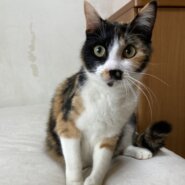 子育て終わったら超甘えん坊♡マヤちゃん