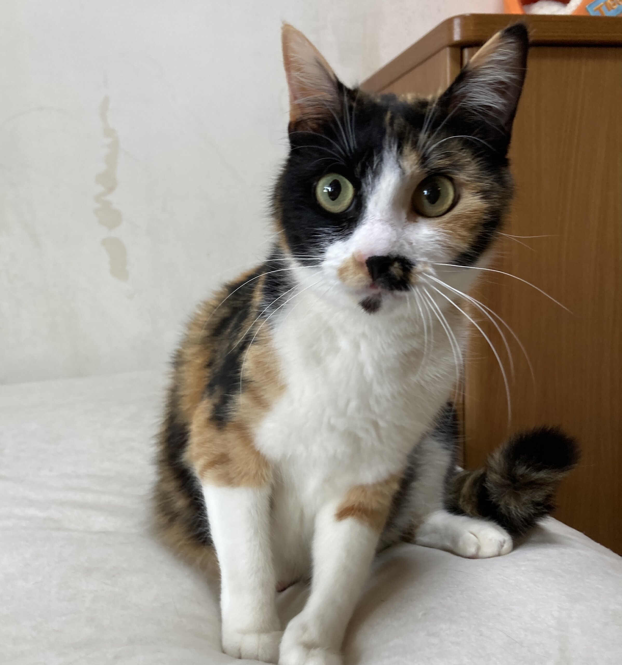 子育て終わったら超甘えん坊♡マヤちゃん