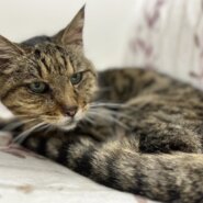 食欲旺盛☆みんなの優しいおじいちゃん☆とく☆高齢者◎