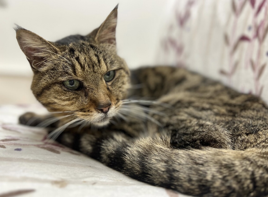 食欲旺盛☆みんなの優しいおじいちゃん☆とく☆高齢者◎