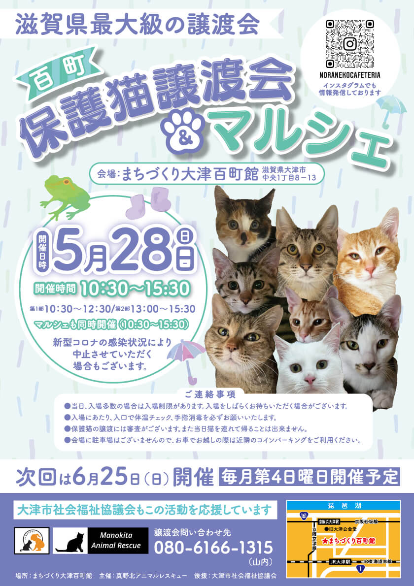 百町保護猫譲渡会&マルシェ