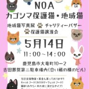 鹿児島保護猫・地域猫のイベント（譲渡会・地域猫写真展・チャリティーバザー）