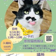 水曜日の譲渡会