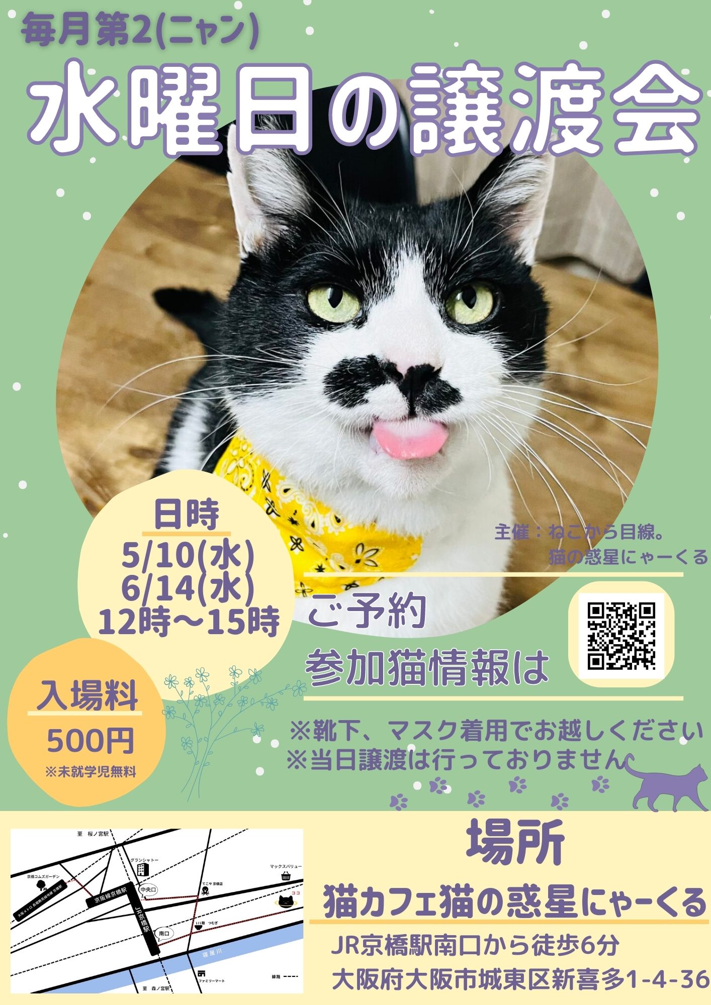 水曜日の譲渡会