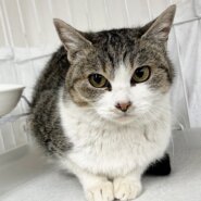 切れ長アーモンドアイ☆小顔美人☆水（すい）ちゃん