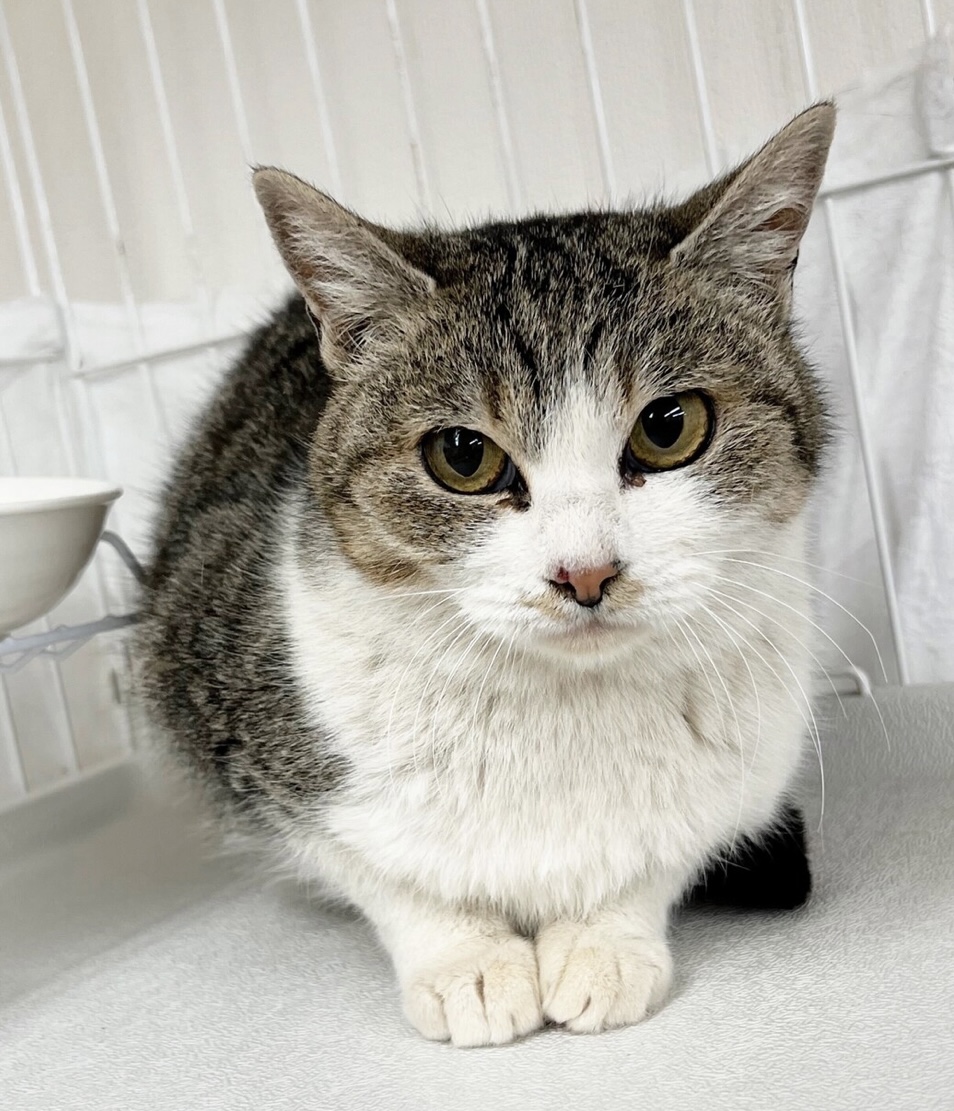 切れ長アーモンドアイ☆小顔美人☆水（すい）ちゃん