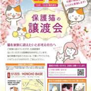 保護猫の譲渡会
