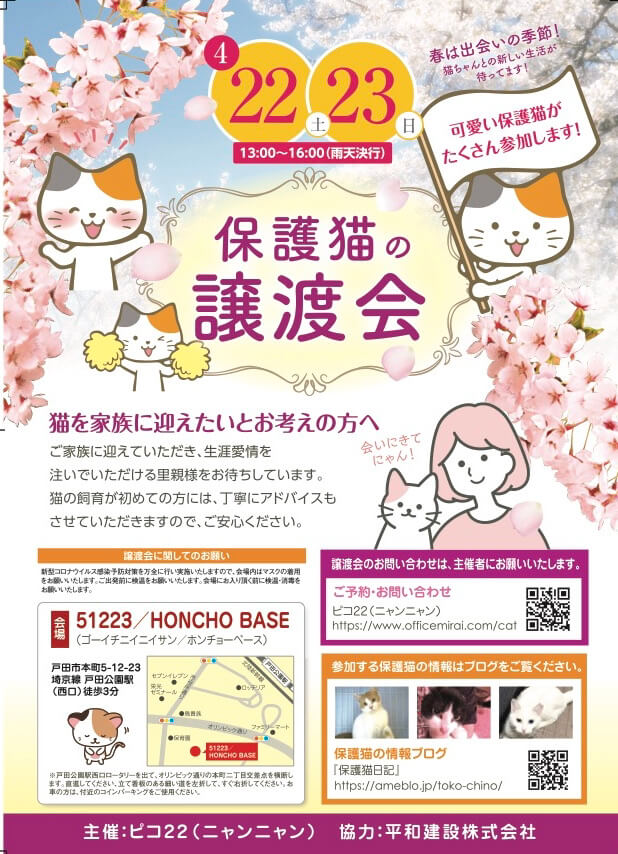 保護猫の譲渡会