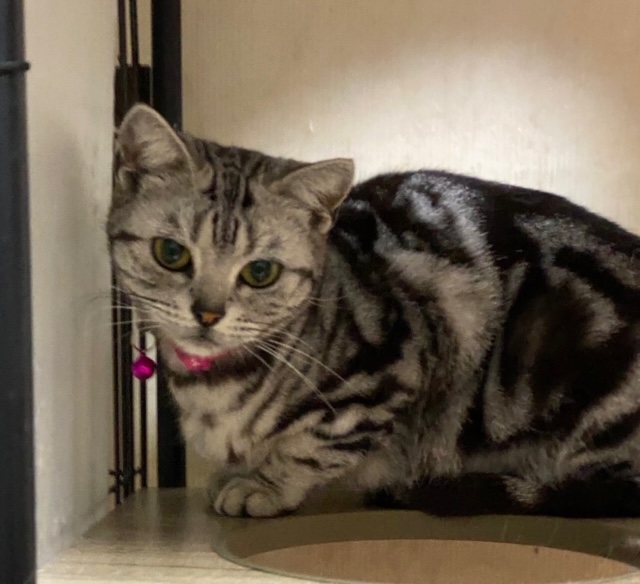 マイペースでツンデレ姫の杏莉ちゃん