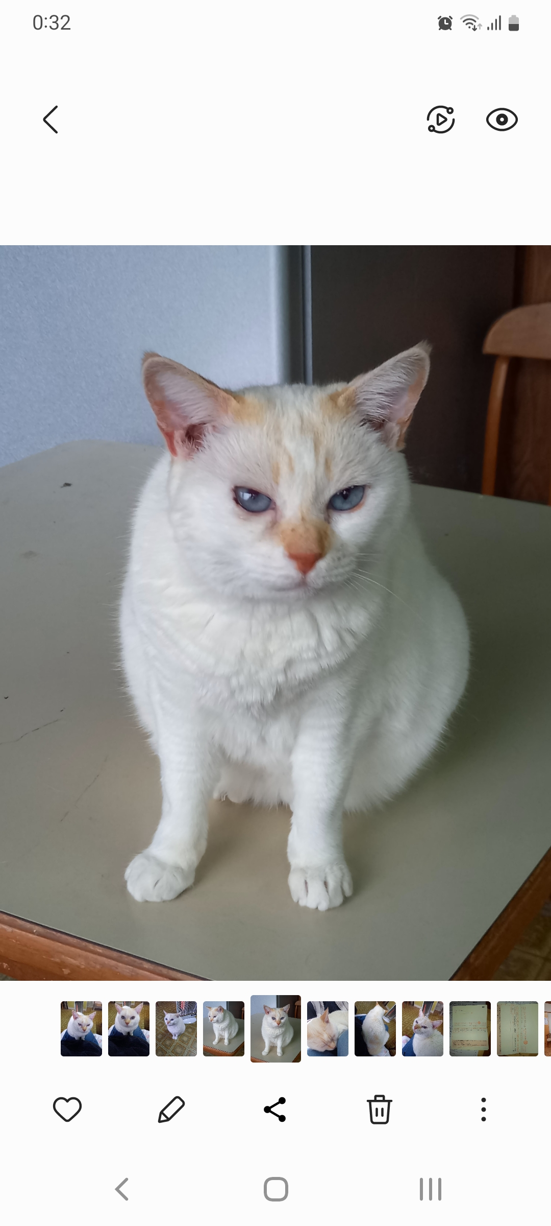 人が大好きな女の子