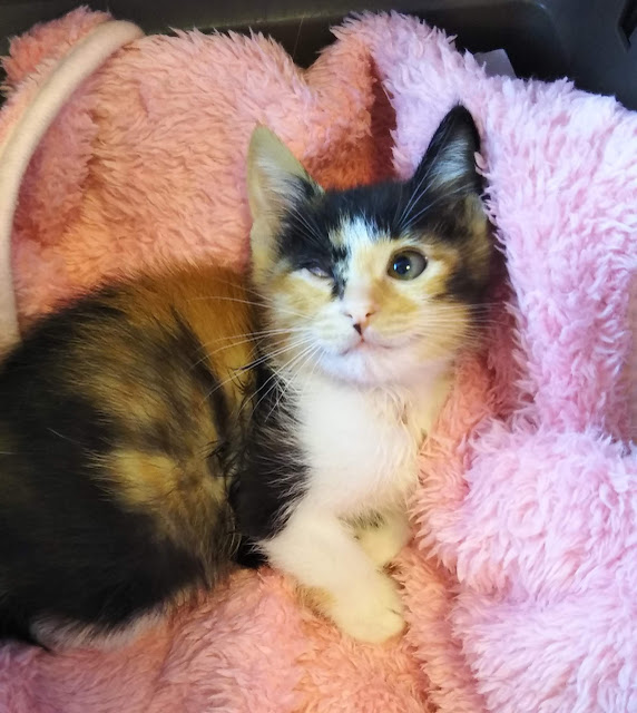 お目目ひとつなくなっちゃった♡でも幸せ『ミキ』