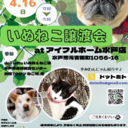 いぬねこ譲渡会　at アイフルホーム水戸店