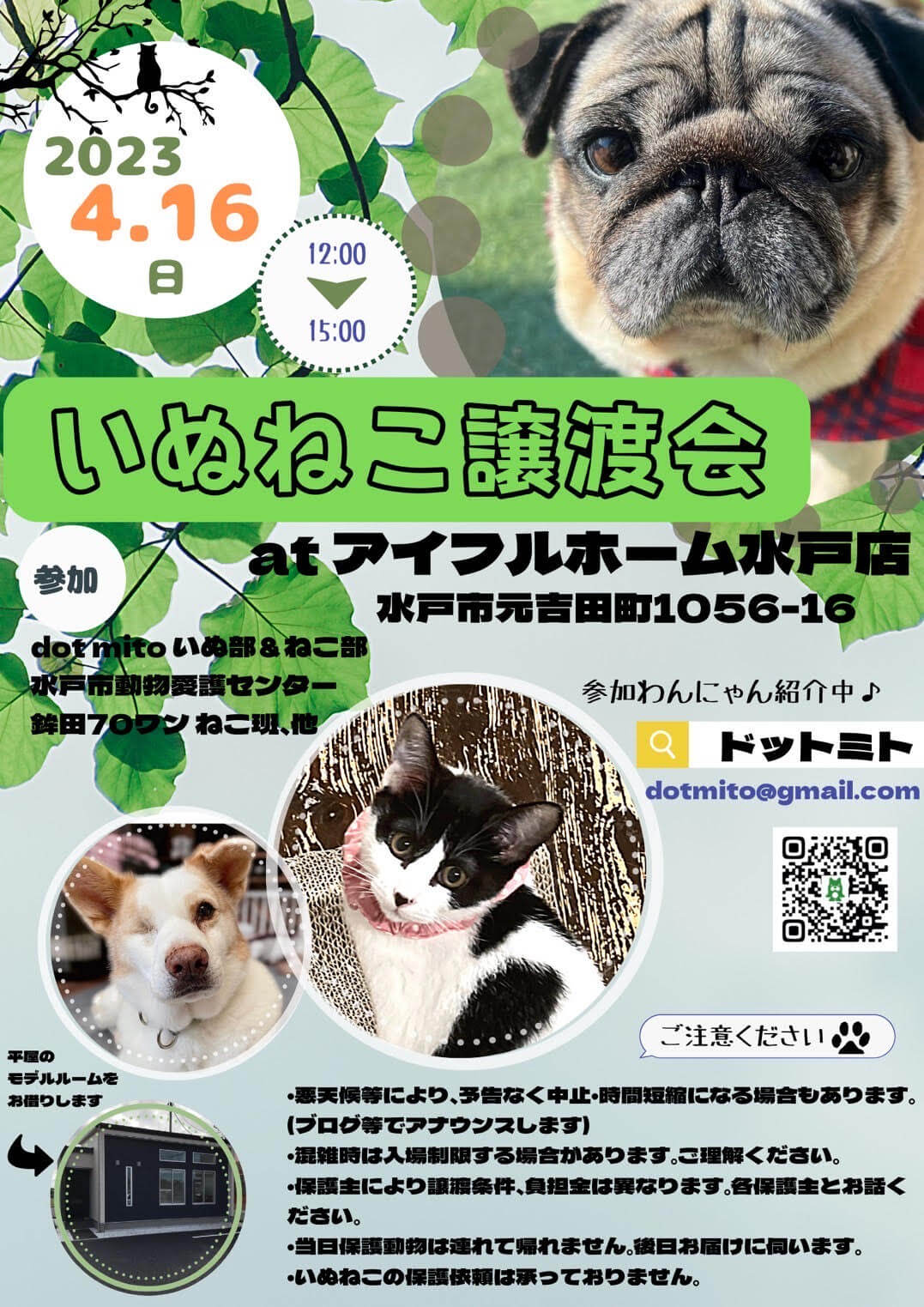 いぬねこ譲渡会　at アイフルホーム水戸店