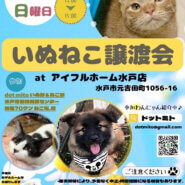 いぬねこ譲渡会 at アイフルホーム水戸店