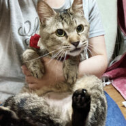 おっとり穏やか♪甘えん坊『おこわちゃん』５歳