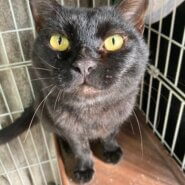 おしゃべりが止まらない、文太くん。