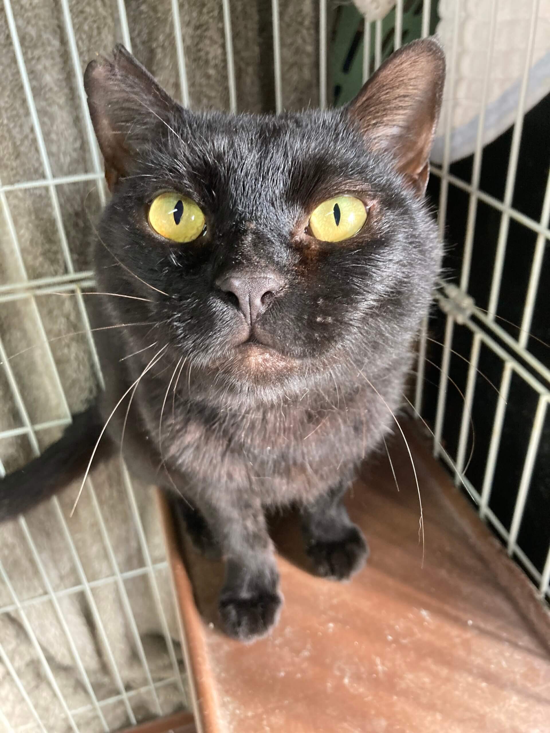 おしゃべりが止まらない、文太くん。