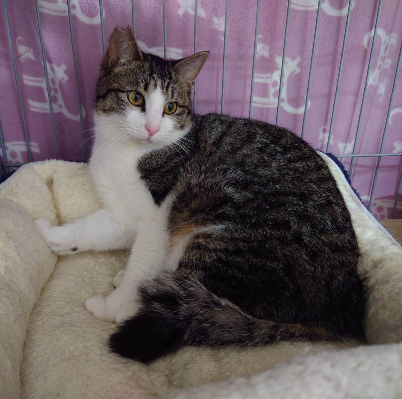 アイラインくっきりハンサム君♫1才