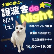 けだ・まも譲渡会deNIGHT
