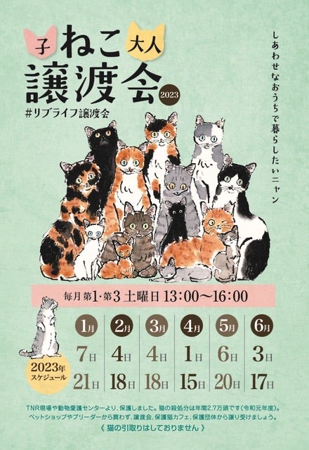 LiveLife譲渡会 in都島