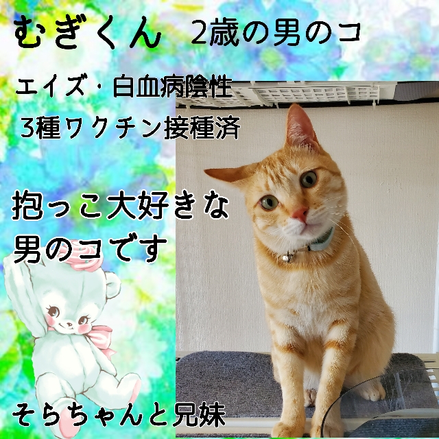 むぎくん、兄妹ペアでトライアル決定しました！