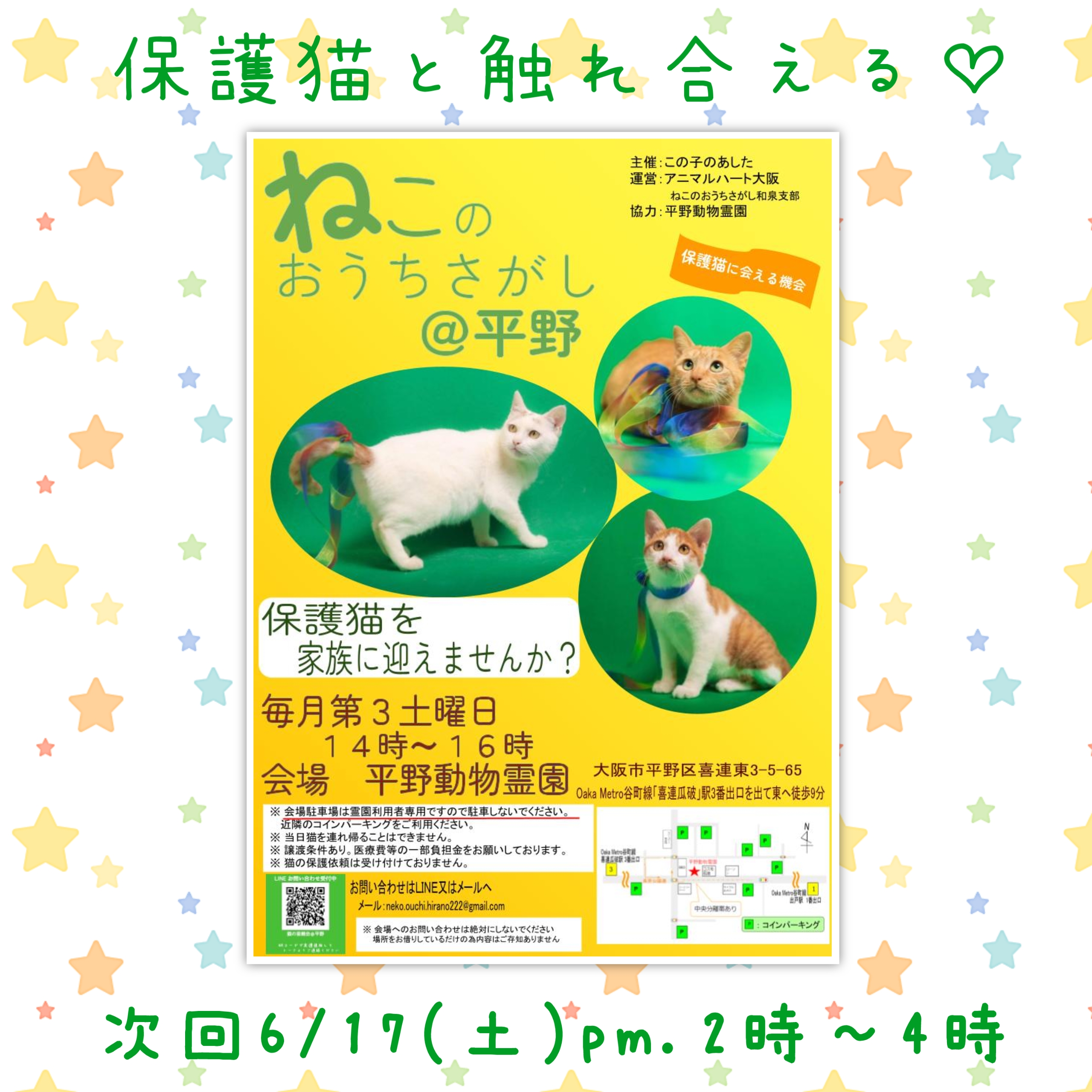6/17ねこのおうちさがし＠平野