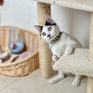 つくし里親決定♡