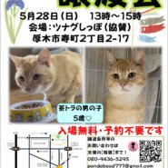 ツムグ小さな譲渡会