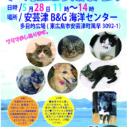 犬猫譲渡会