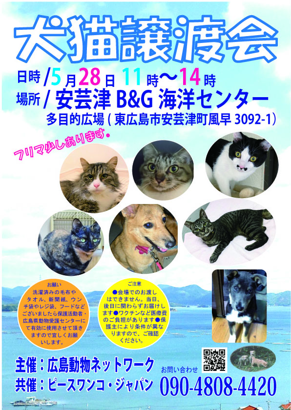 犬猫譲渡会
