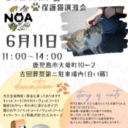 鹿児島保護猫・地域猫/チャリティバザー＆写真展♪